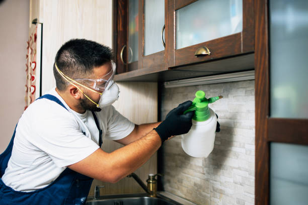 Best Ant Control Services  in Columbus, IN