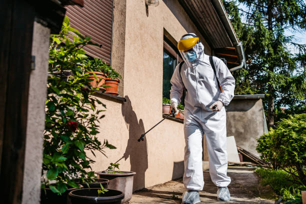 Best Local Pest Control Services  in Columbus, IN