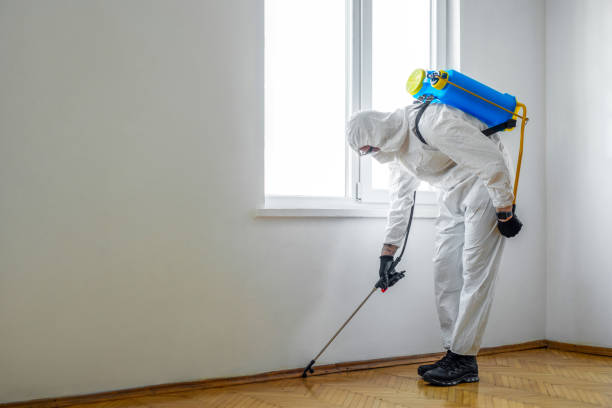 Best Rat Extermination Near Me  in Columbus, IN