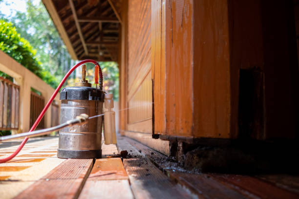 Best Ant Control Services  in Columbus, IN