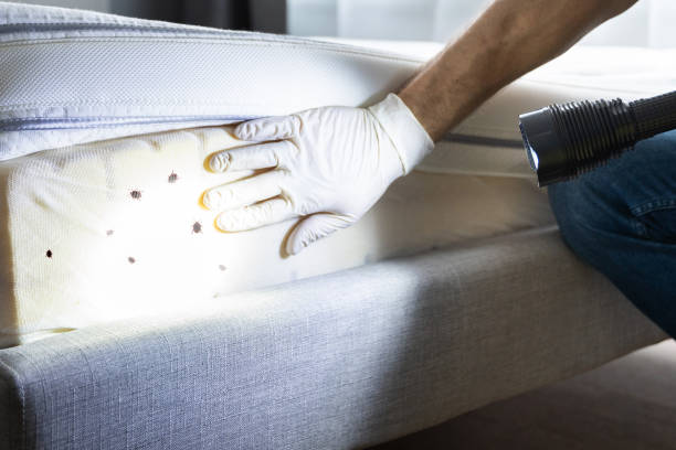 Best Termite Control Services  in Columbus, IN