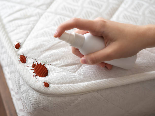 Best Pest Control Near Me  in Columbus, IN