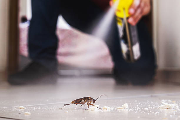Best Spider Control Near Me  in Columbus, IN