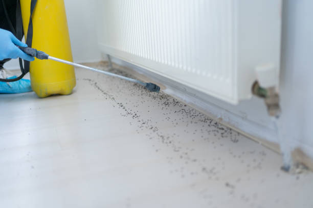 Best Affordable Pest Control Services  in Columbus, IN