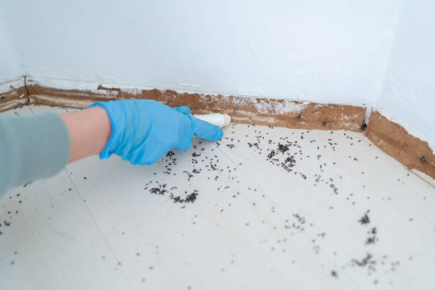 Best Pest Control for Restaurants  in Columbus, IN