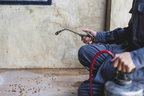 Best Residential Pest Control  in Columbus, IN